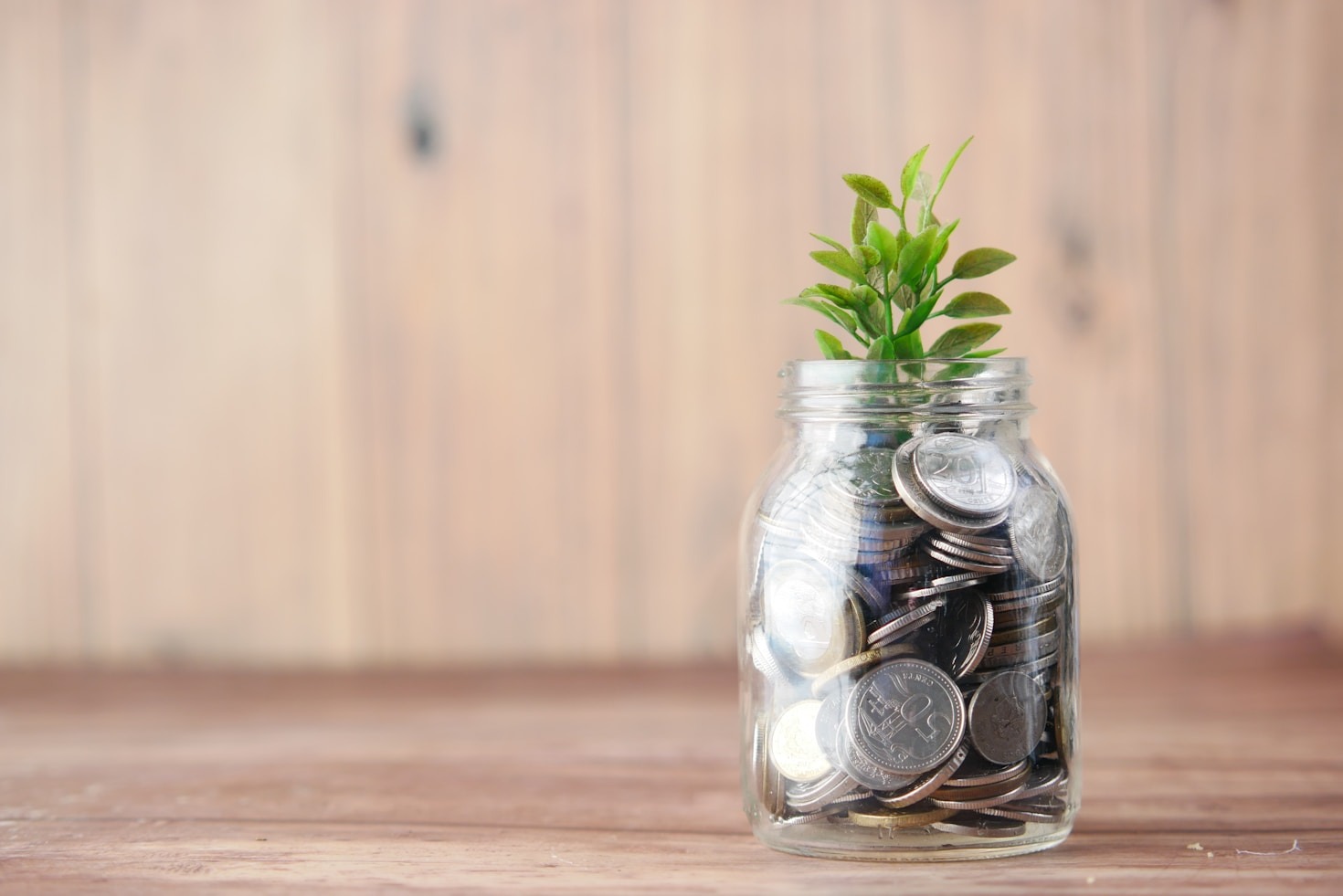 Building Wealth: Lessons from Beating the SP500