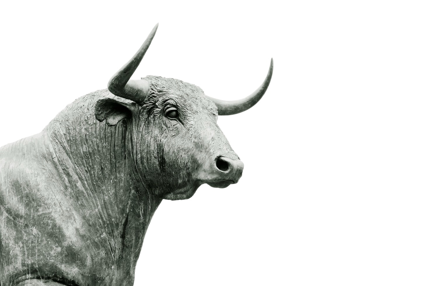My Journey to Outperforming the SP500